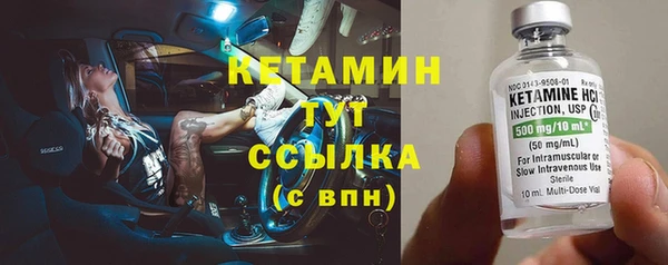 амф Ельня