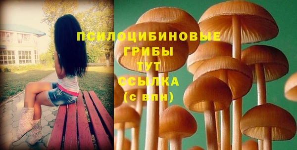 прущая мука Дмитриев