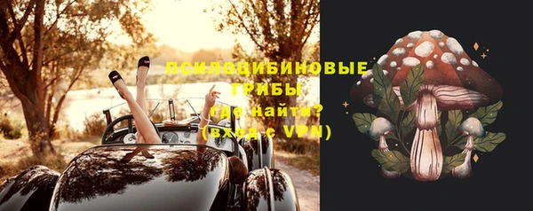 apvp Дмитров