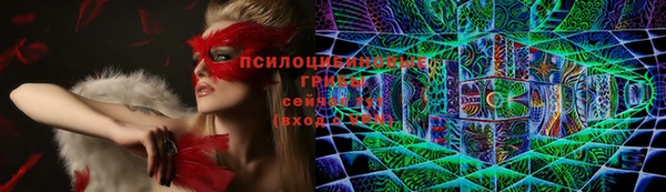 apvp Дмитров