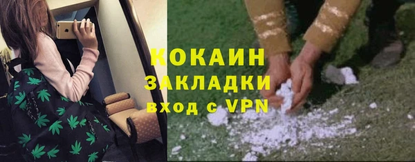 крисы Дмитровск