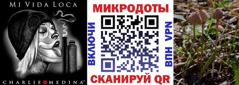 Галлюциногенные грибы мицелий  Купить закладки  Ивангород 