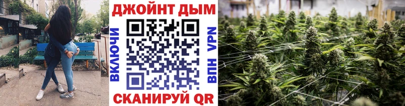 Конопля планчик Купить где Ивангород
